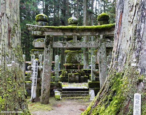 如何去大魚神社──一篇深入的探秘之旅与神祕面纱下的奇缘